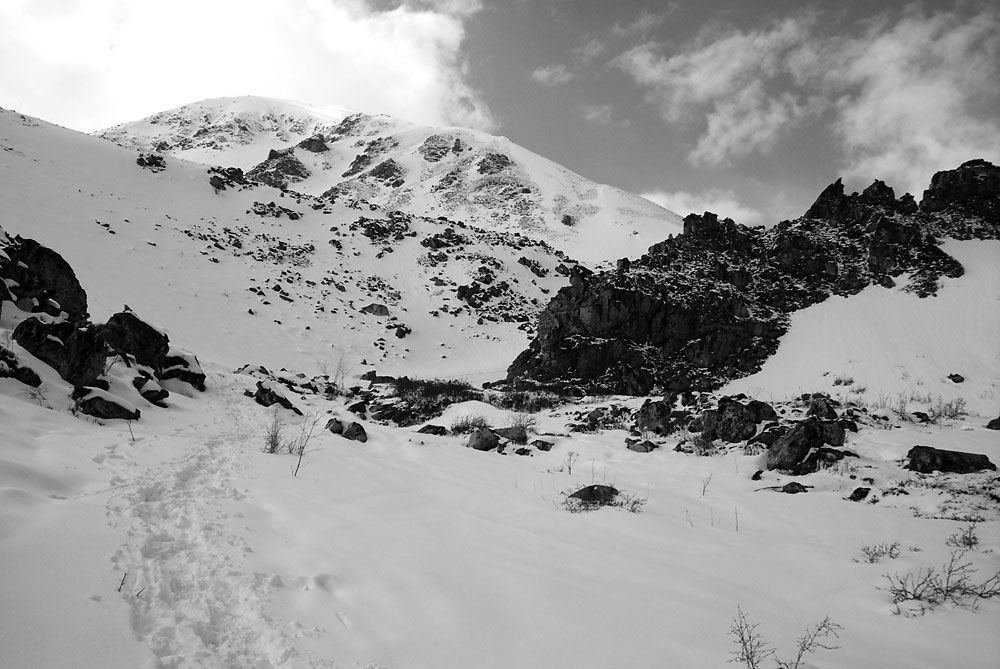 ���� ��, ��������, ���� ��������?