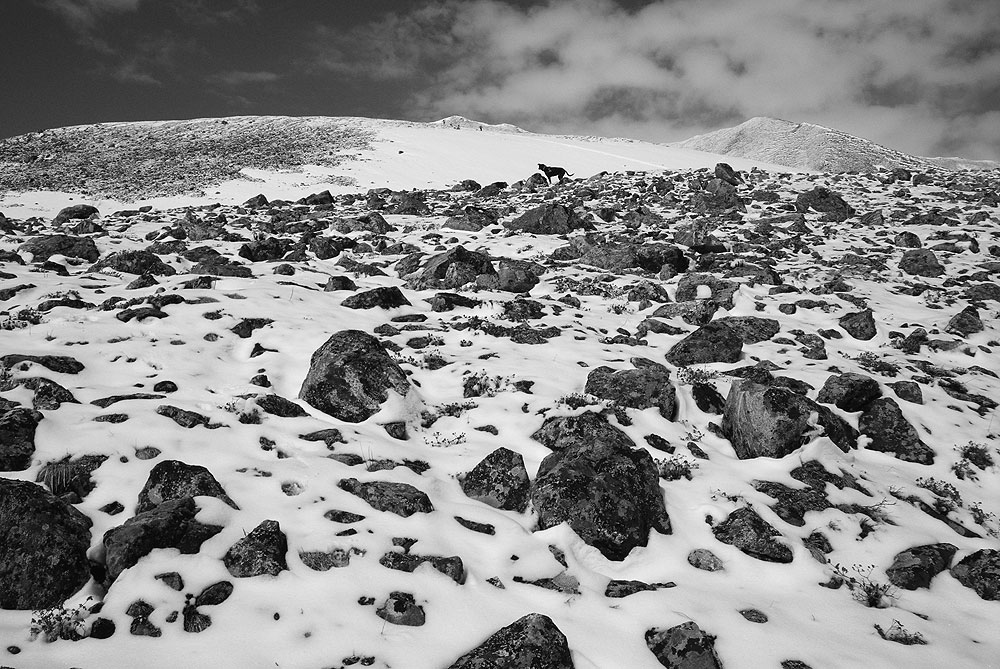 �� ����������