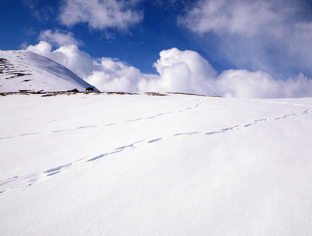 �� �������� ������