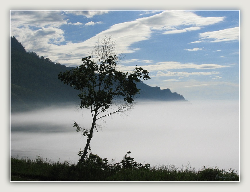 ����� ��� ������