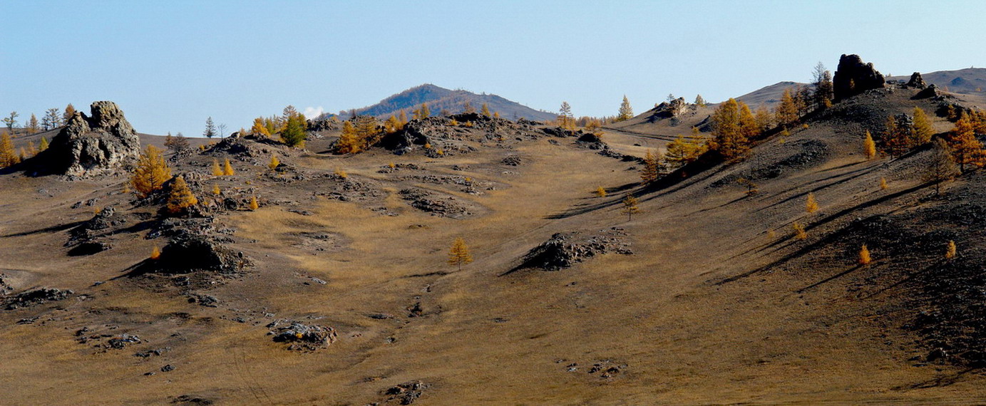 ����������� ��������.