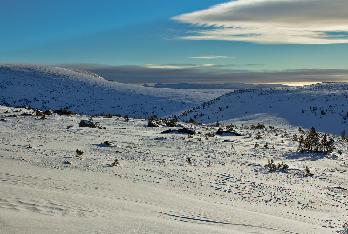 ������ ������� ���