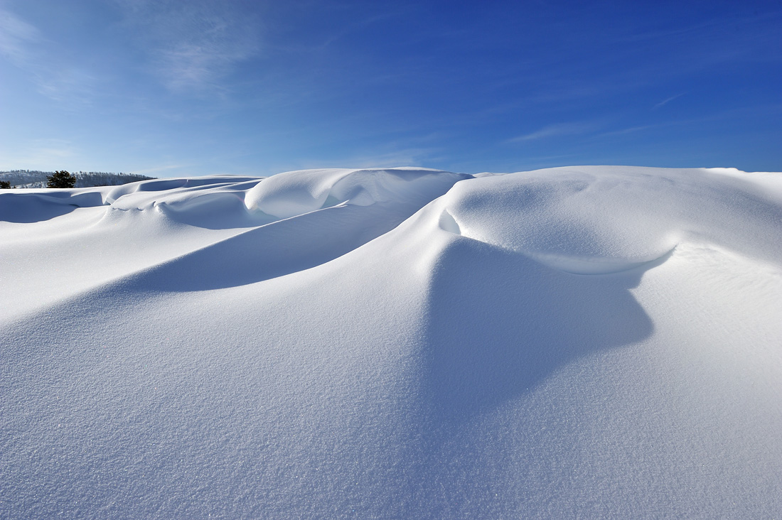 ����������� ����...2