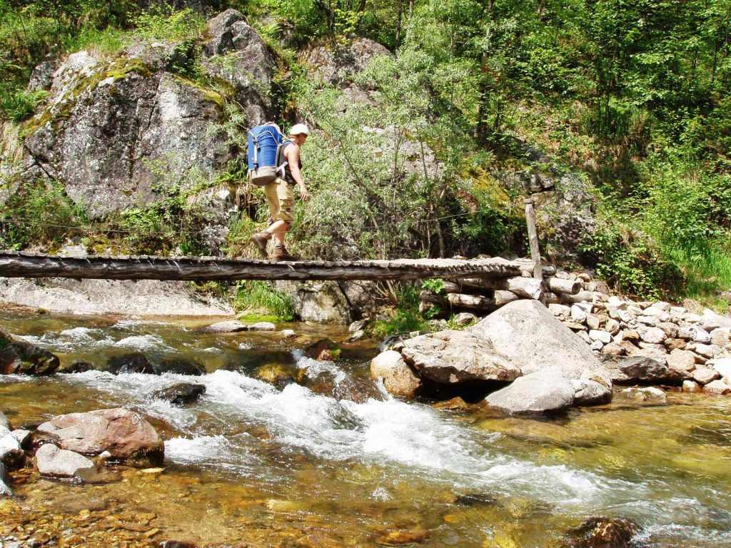 ��� ��� ���� ���������� ������