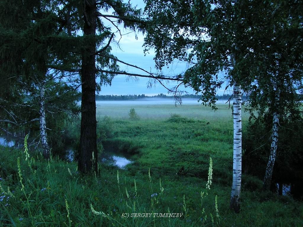 ��������� ����� ...��� ��������