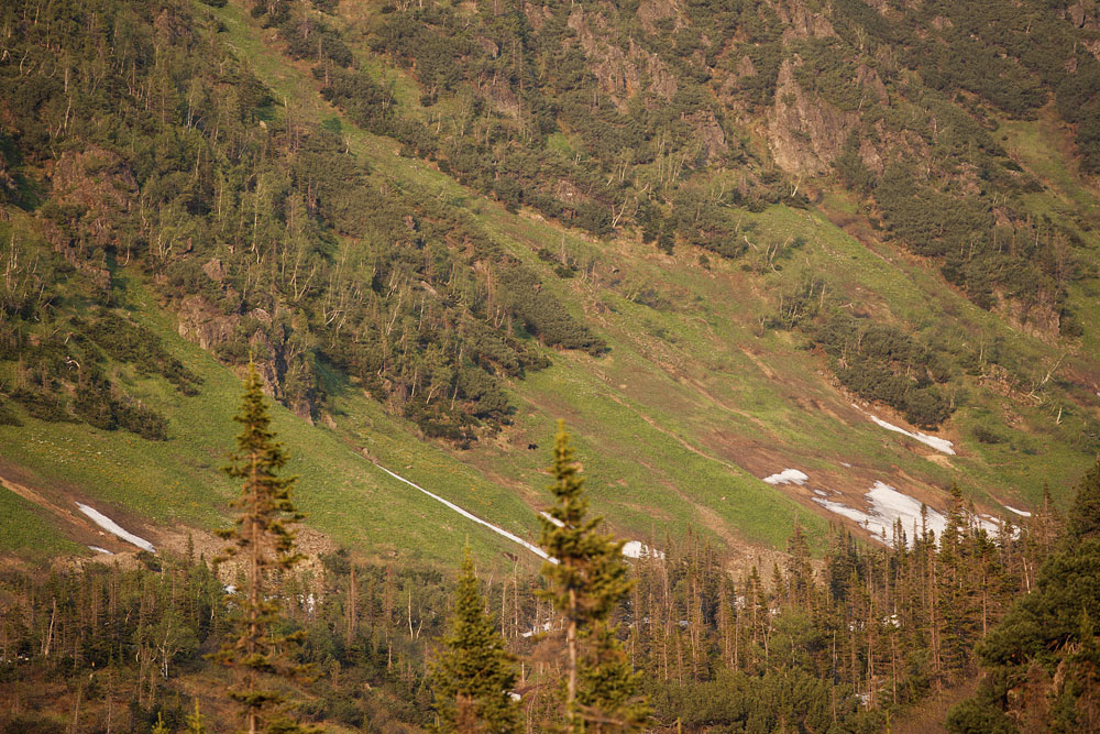 �� ���� ������� ��...