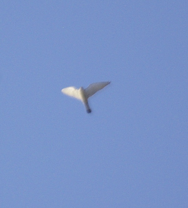  ? 3