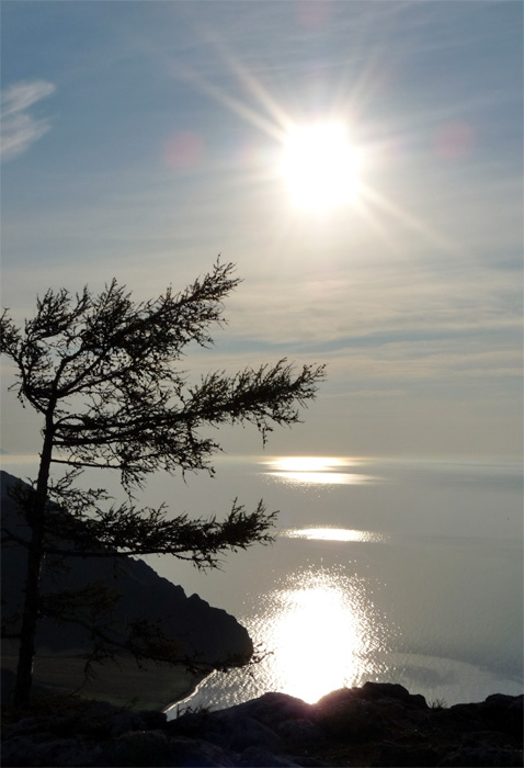 ������������� ����