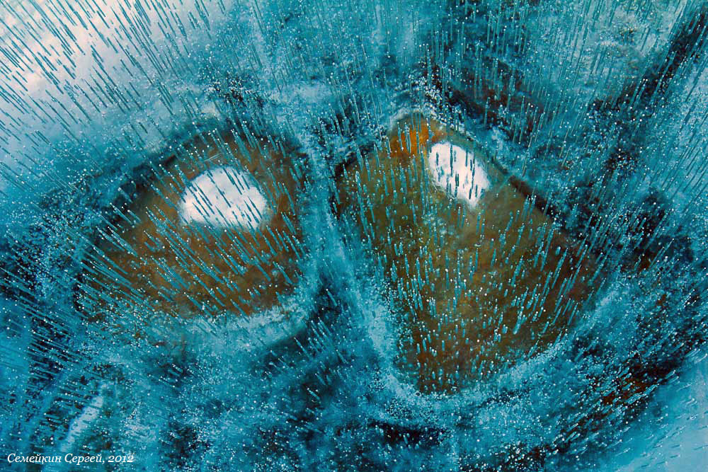 ����� ���� �����