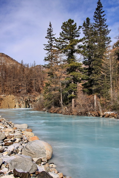 ����� ������