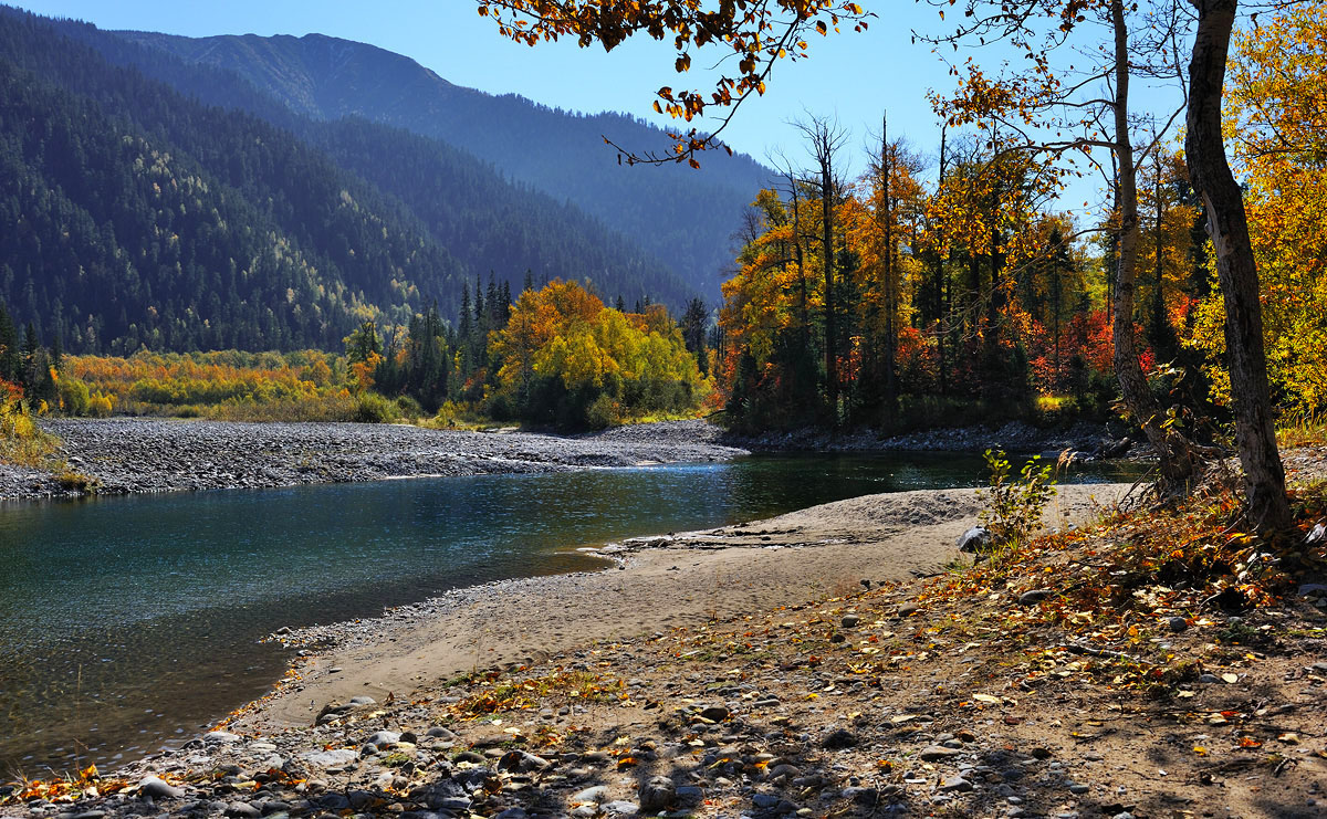 ������ �� �������...