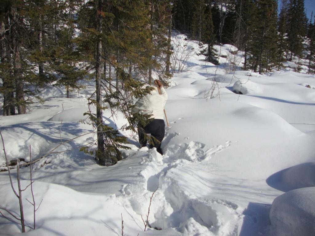 ����� ���� ������ 1