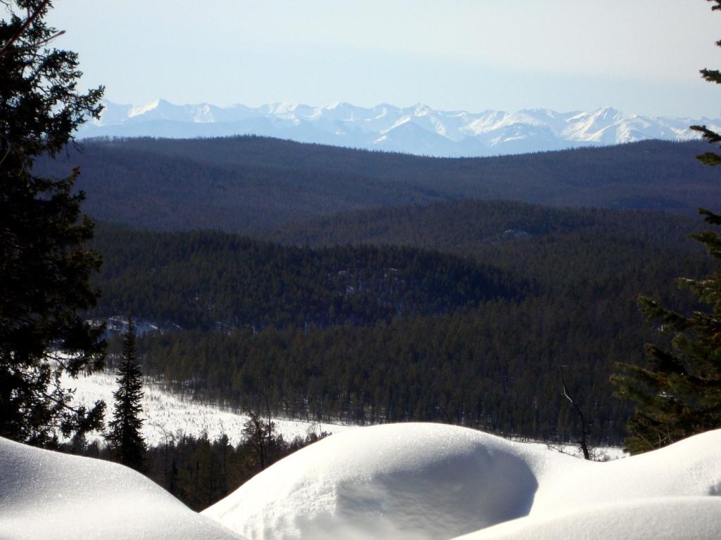 ������������ �����