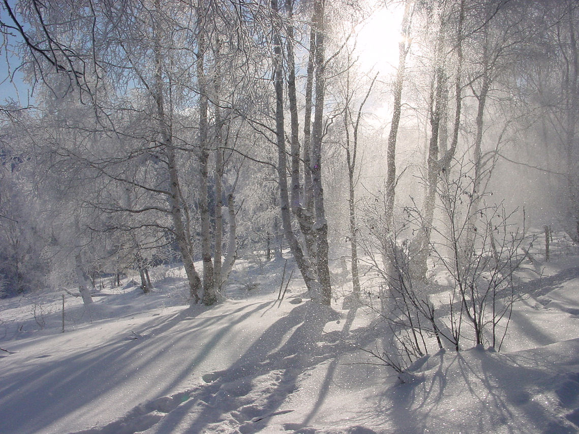 ���������� ��� �������