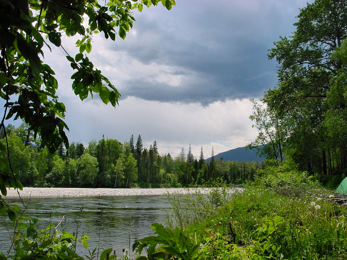 ���� �� �������