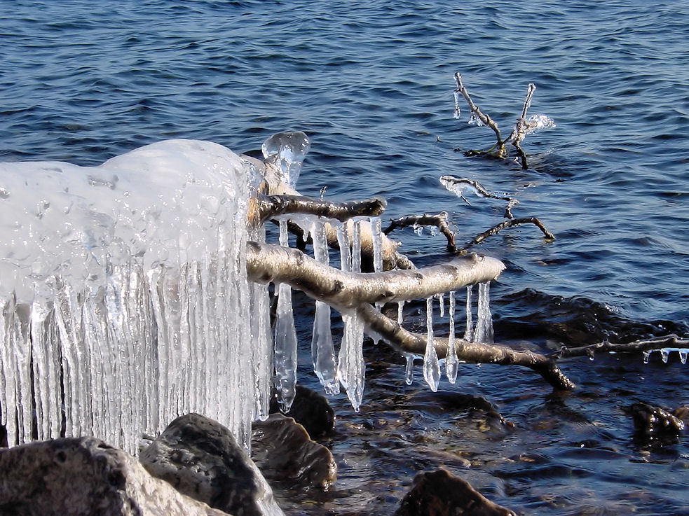 ����������� ����������. 