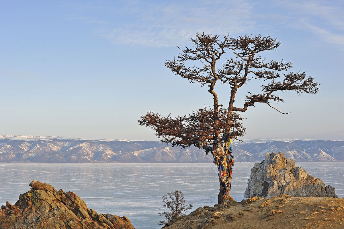 ������ �������