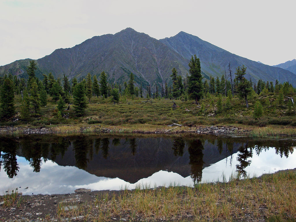 �� ����� (3)