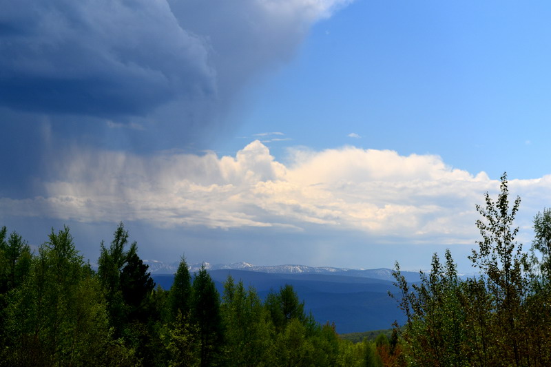 ���� �������