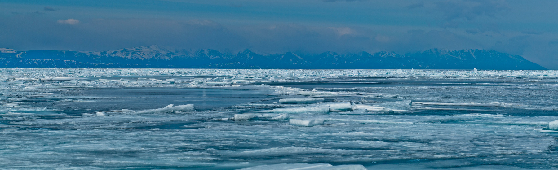 ������ �� �����