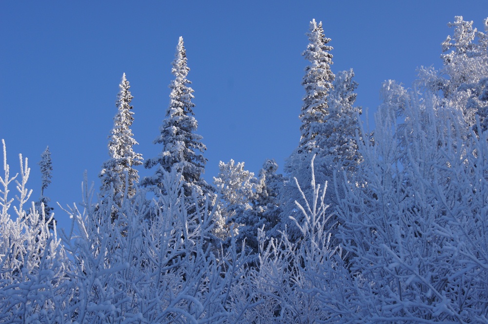 ������� �������