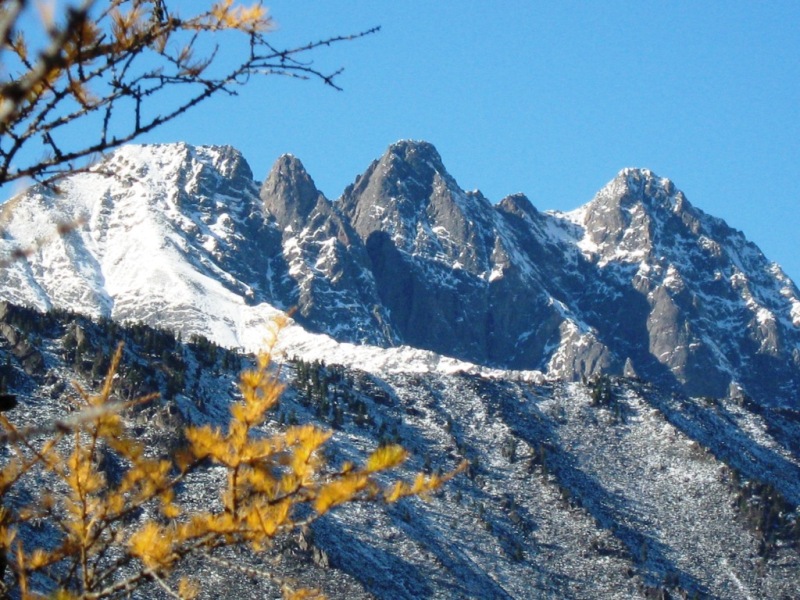 ����� ��������� ������ ���������...