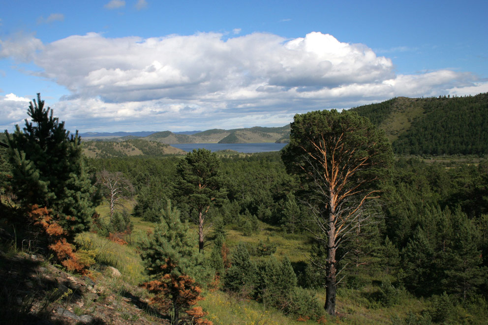 �������� ������ �����