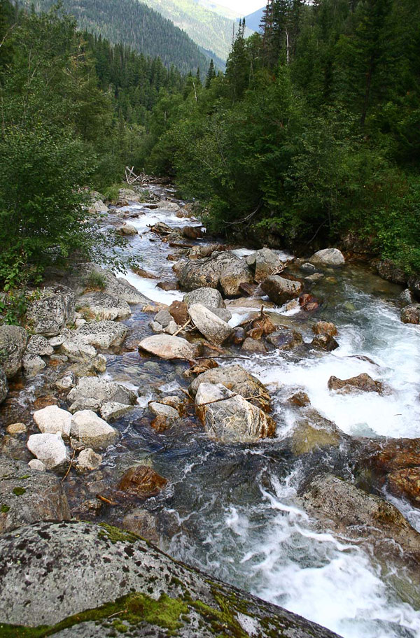 ������ �����