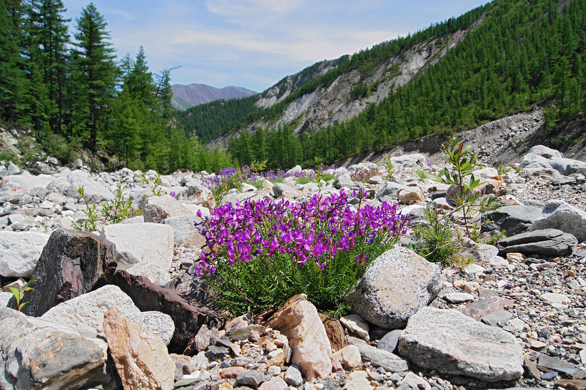 ����� � ������