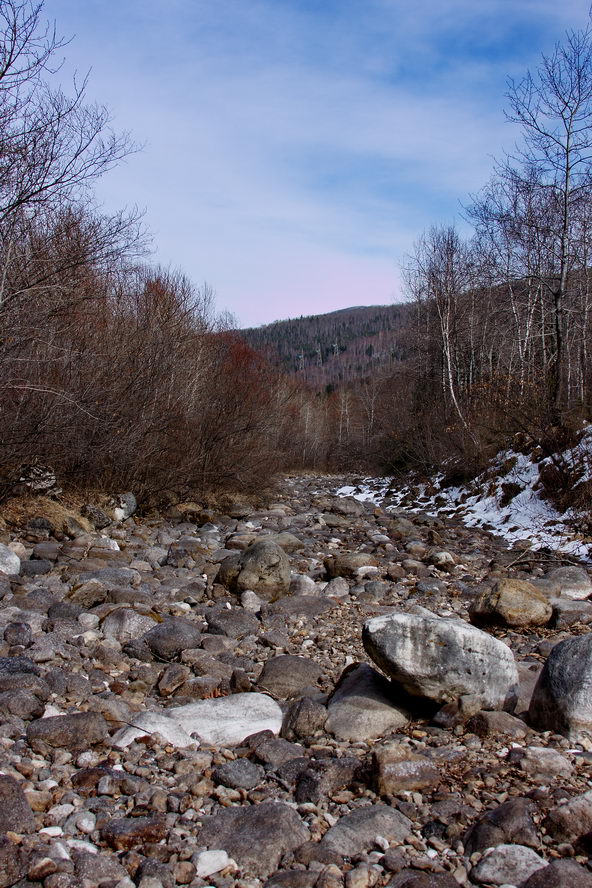 ������ ����