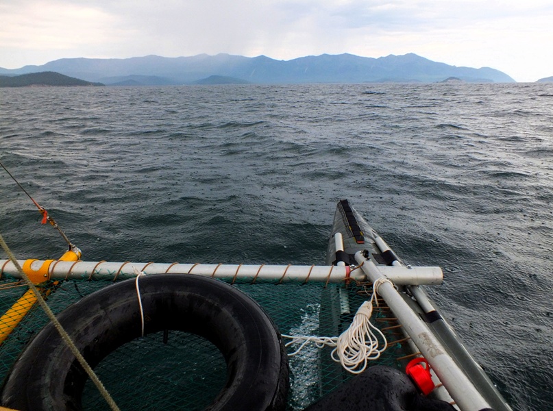 ����� �� ��������