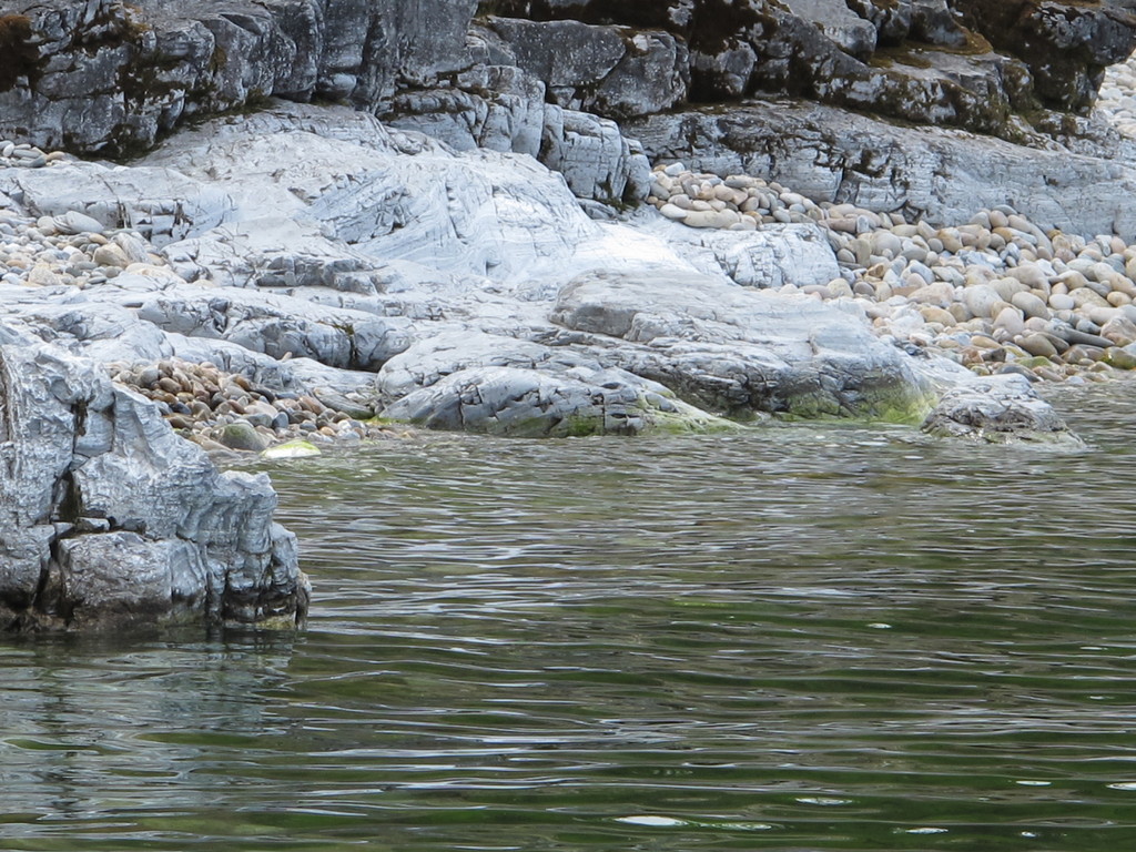 ������� ����� �������-����