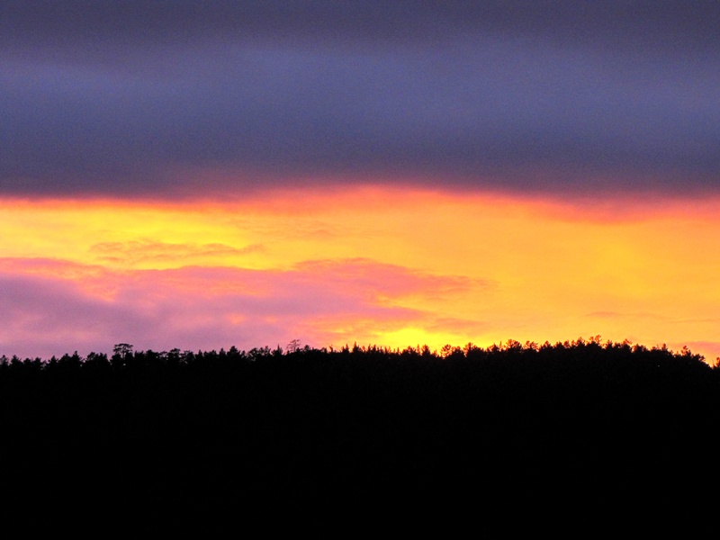 ������ ������