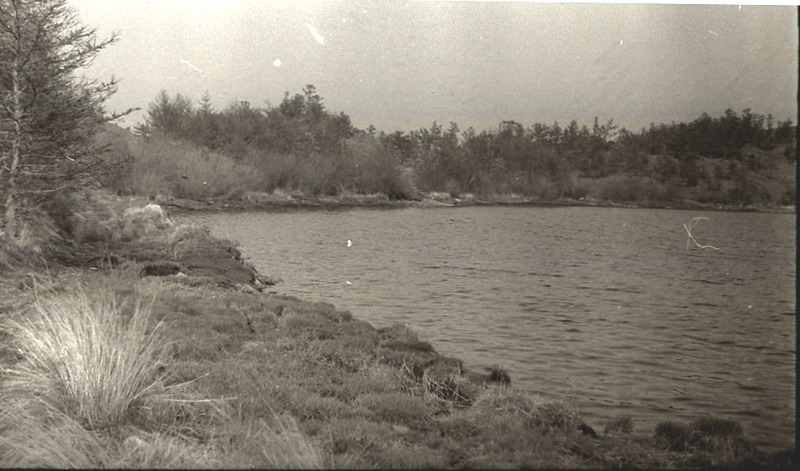  92