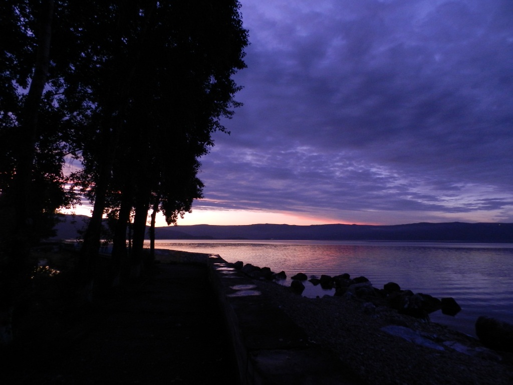 ����������... ��������, ���� "����������"