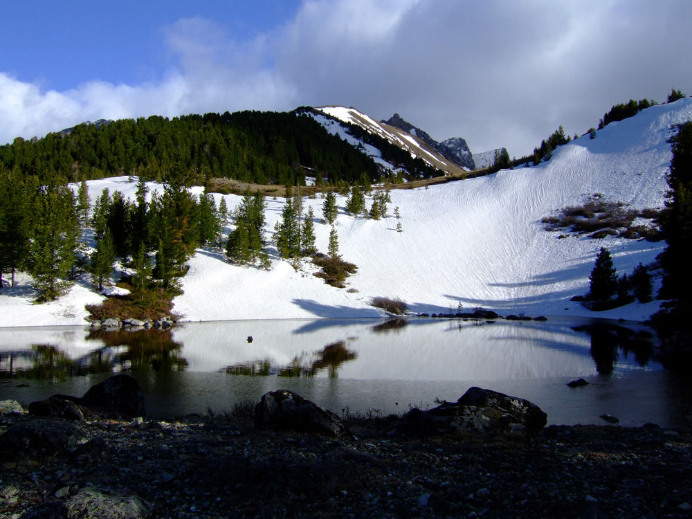 ������ ������