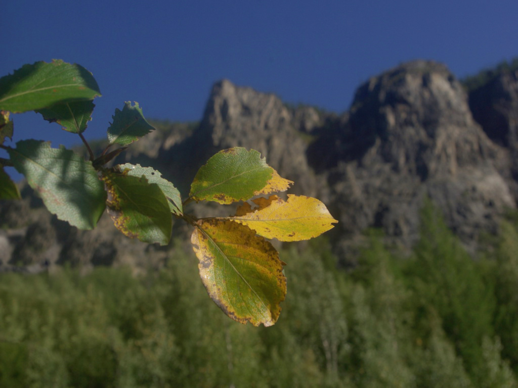 ������ �����