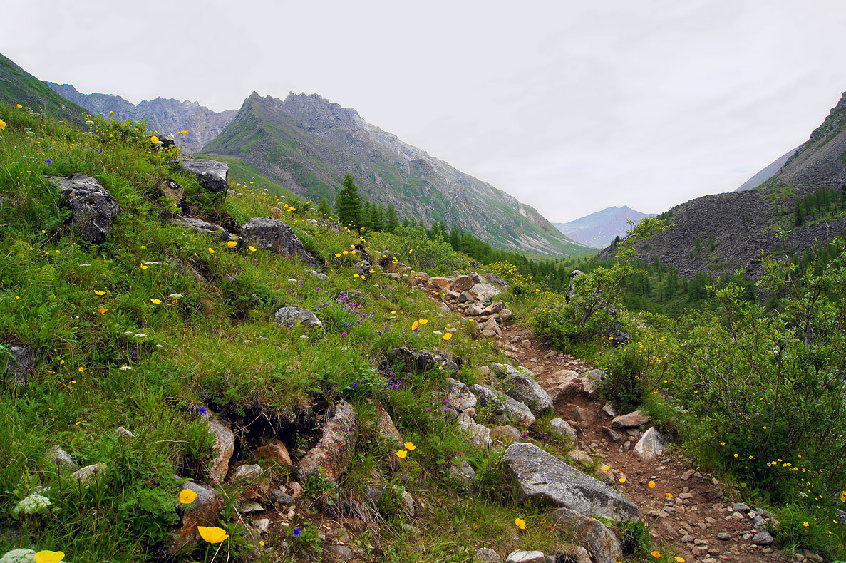 ����� � ������