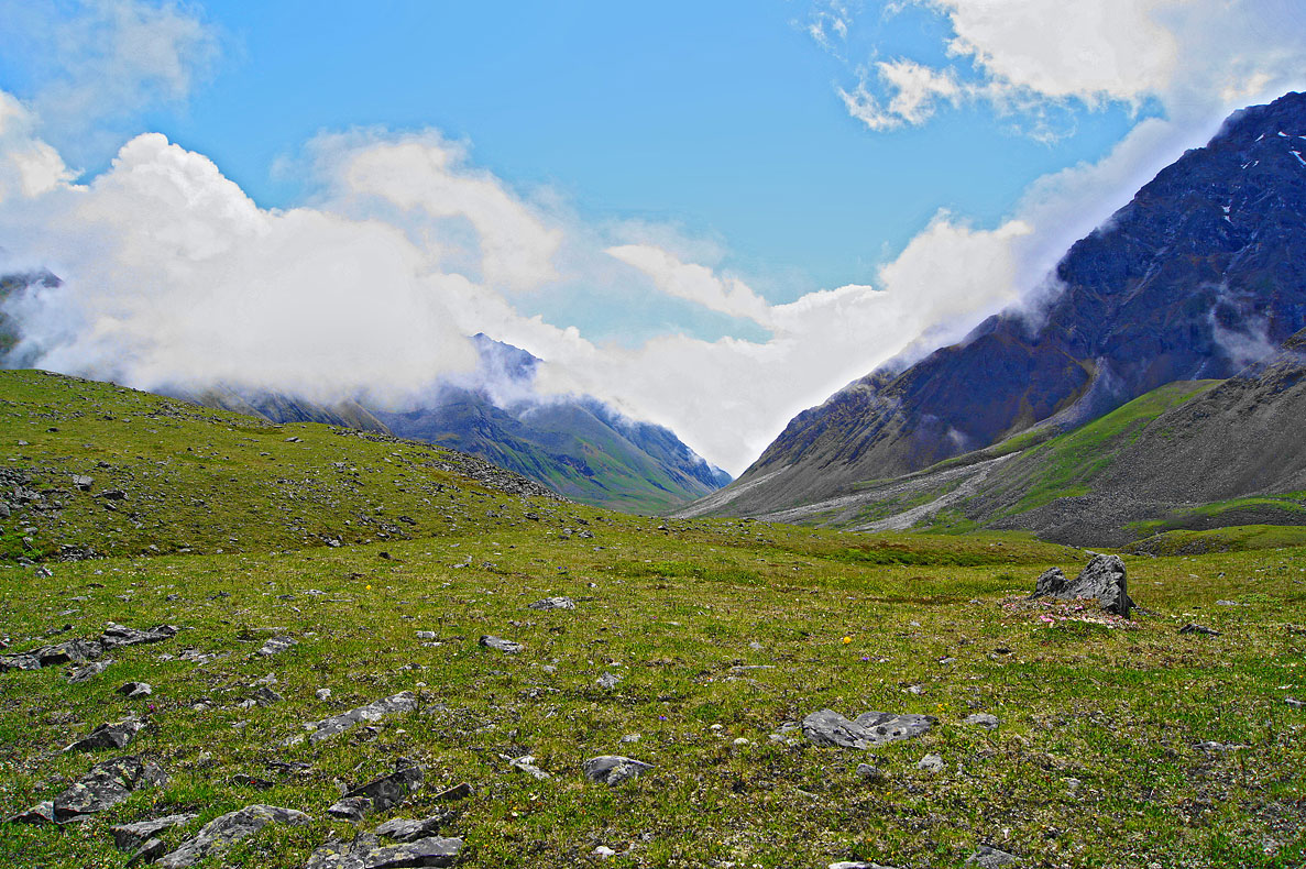 ����������� 2