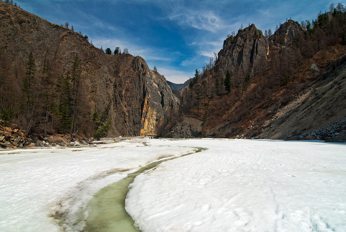 ����� �����-4