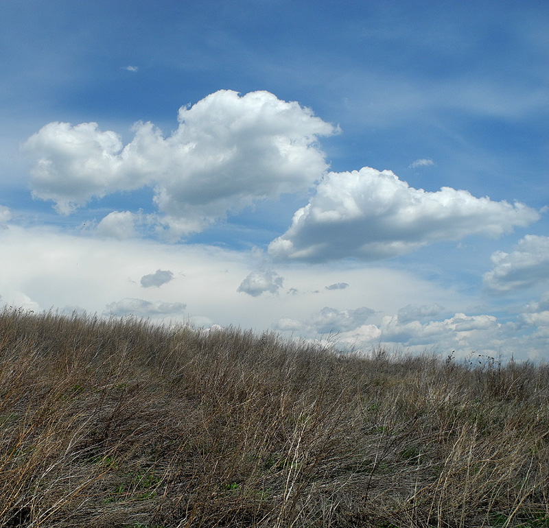 ������ � ��������