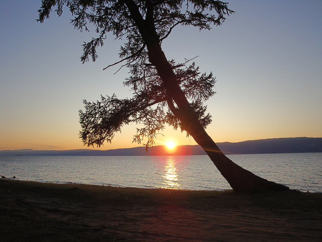 ����� � ��������