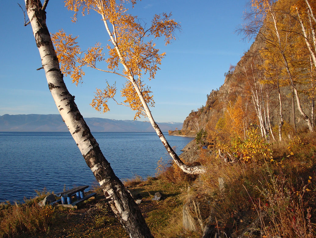 ������� ����