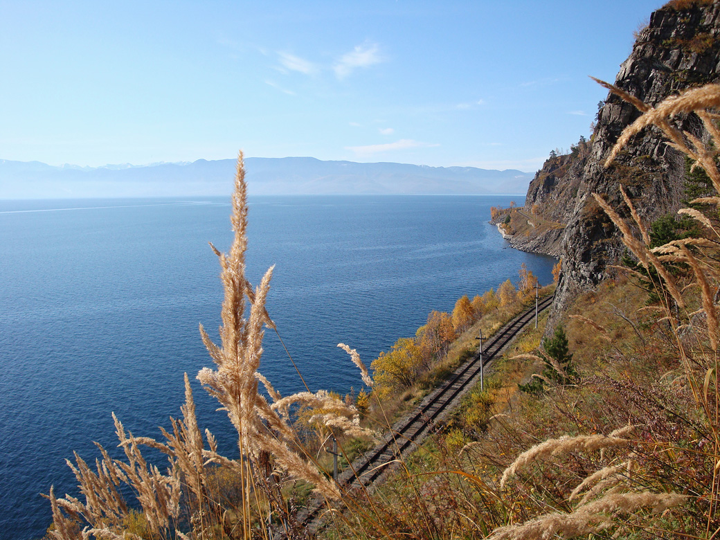 � ������