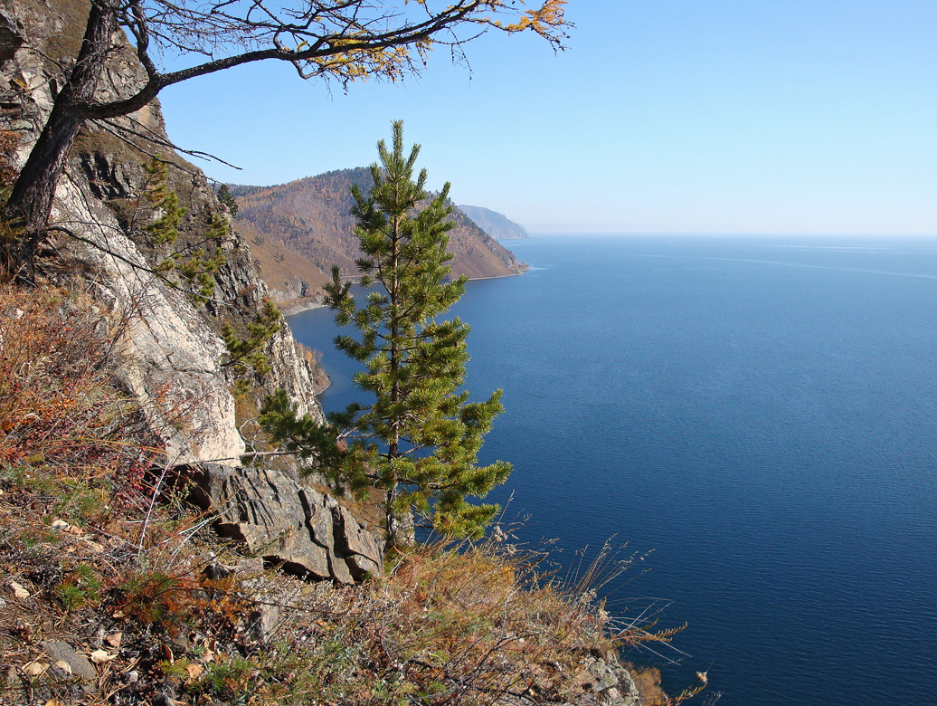 � ������ (3)