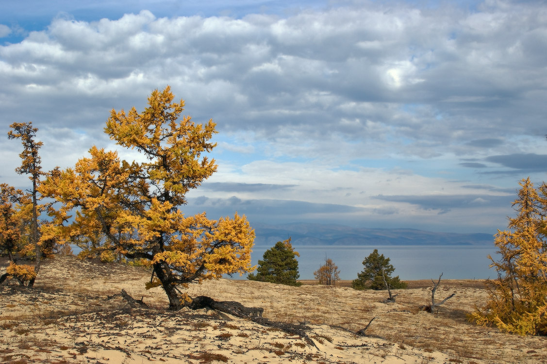 �������� � �����...