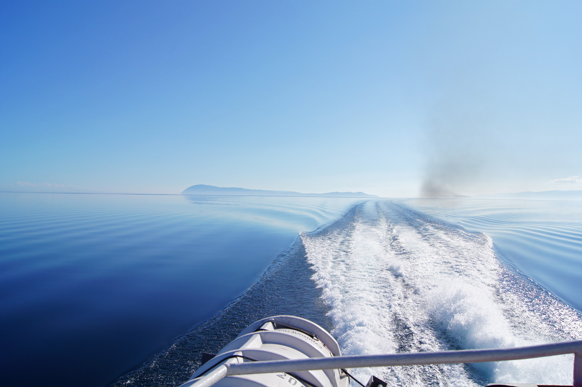 ������ ���������� !