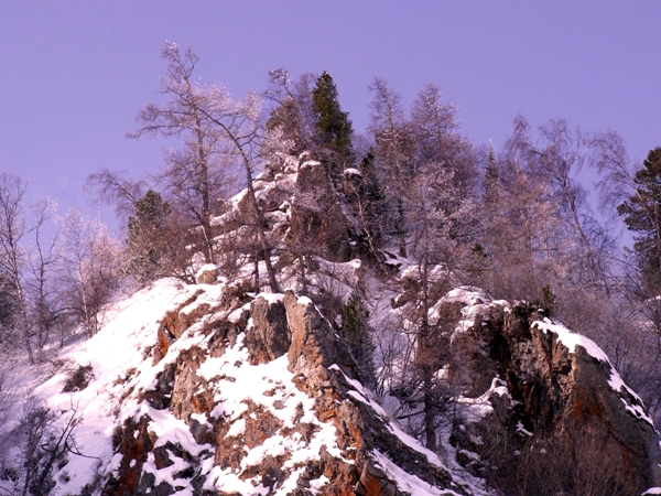 ������ ����� ������� ����