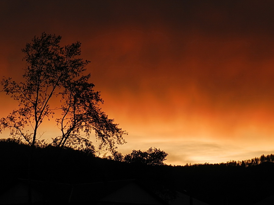 ����� � ����1