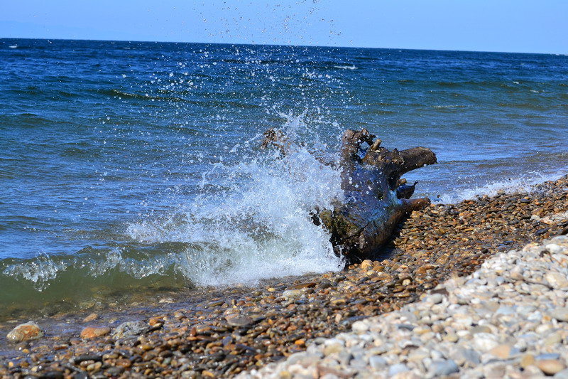 � ����� � ������ � ������...